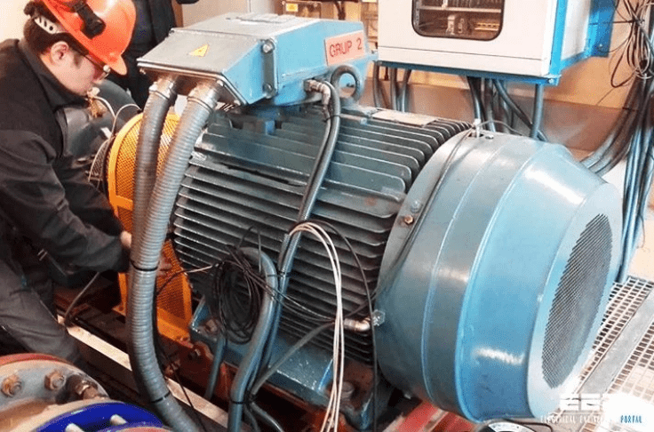 LT Induction Motor Latest Price, Manufacturers & Supplier
